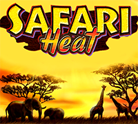 Safari Heat
